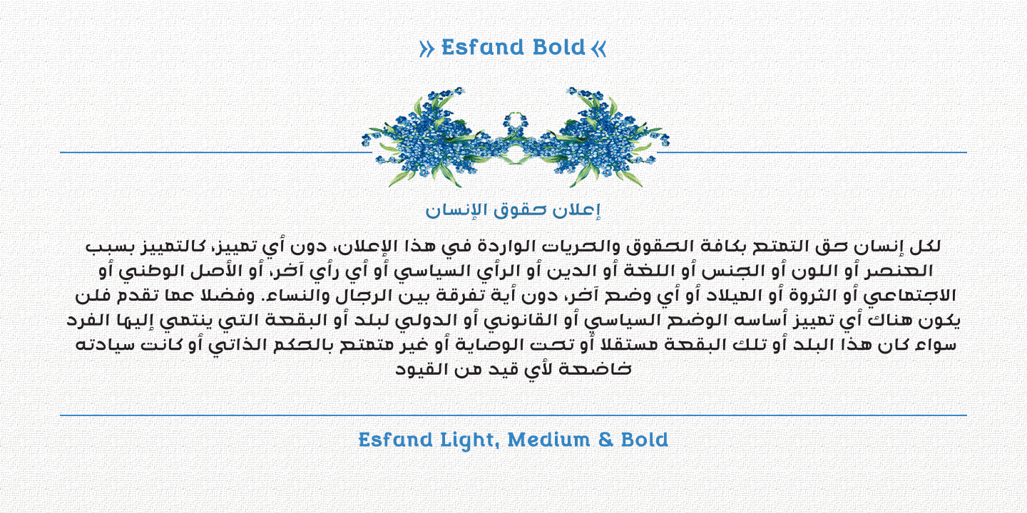Esfand Bold Font preview